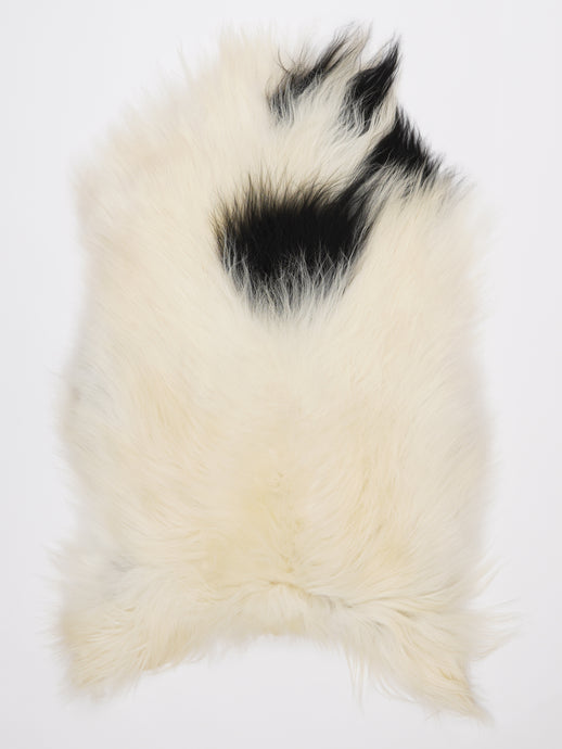 Islandiškas avikailis L