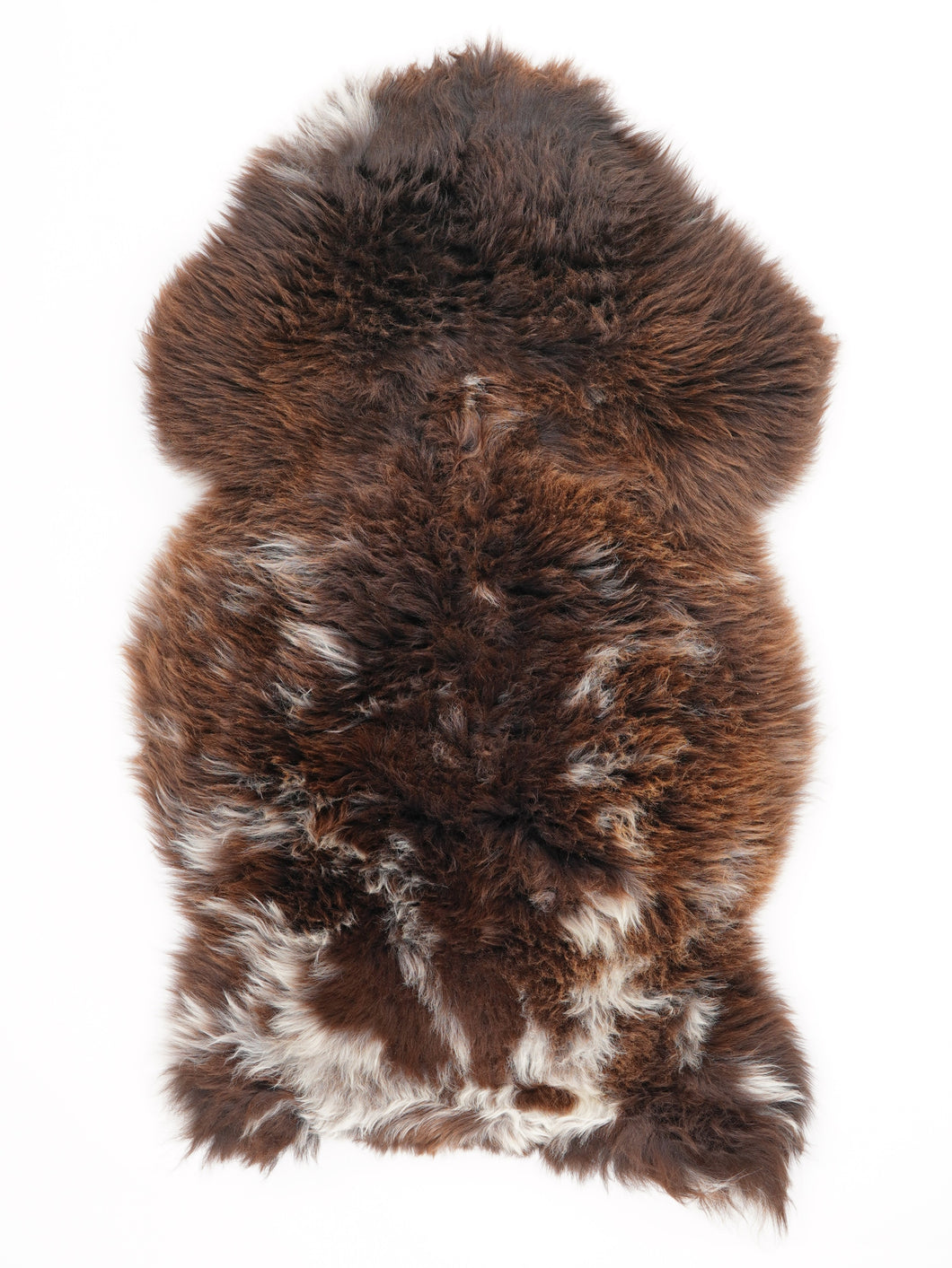 Įvairiaspalvis avikailis M