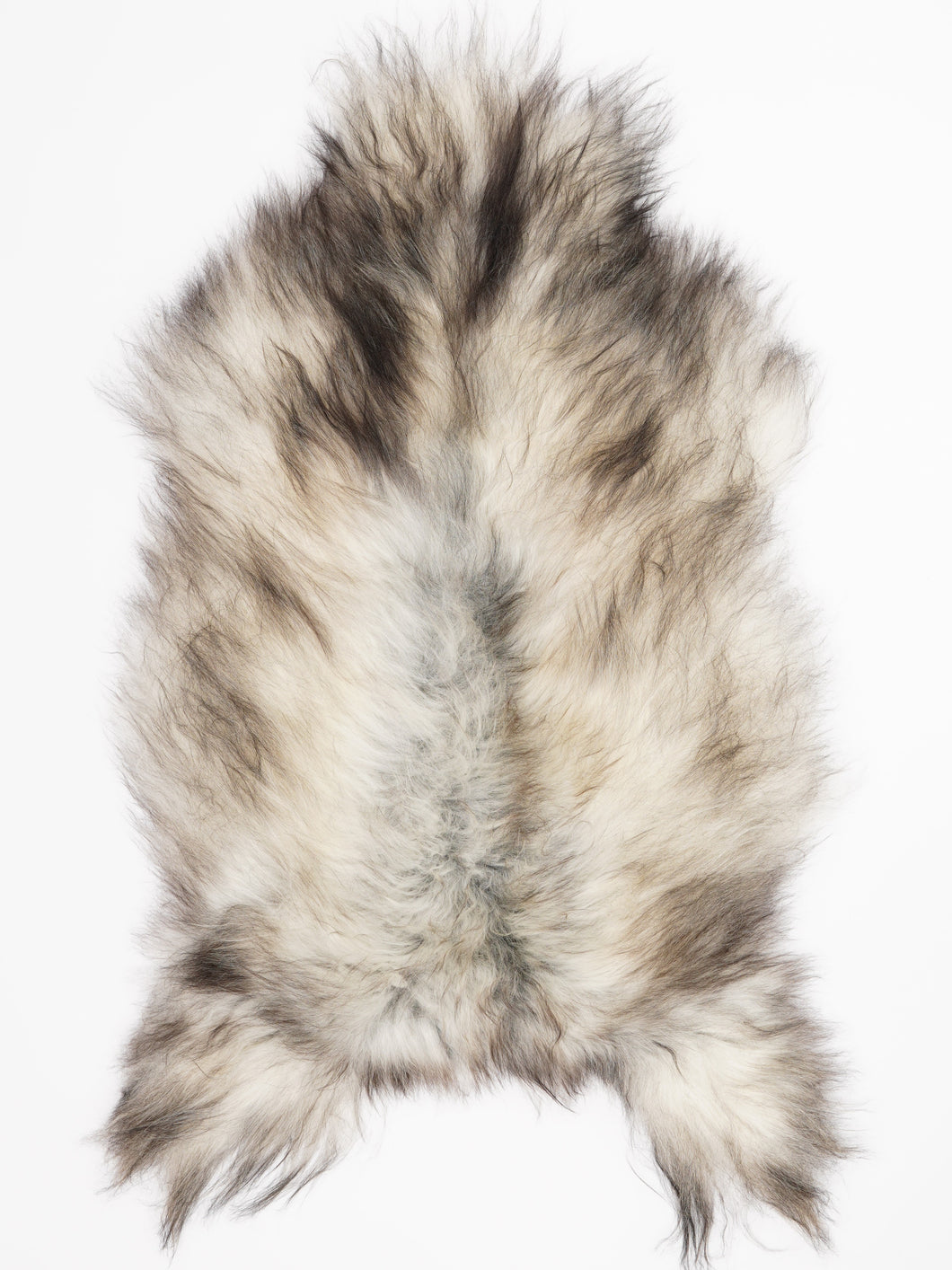 Pilkas islandiškas avikailis XXL