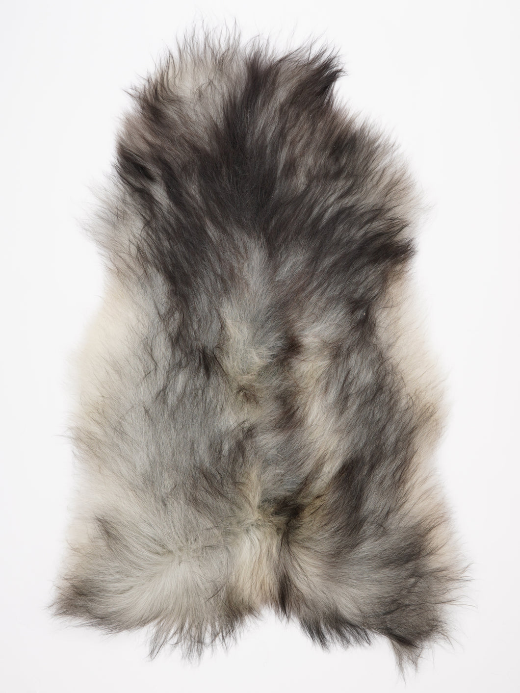 Pilkas islandiškas avikailis XXXL