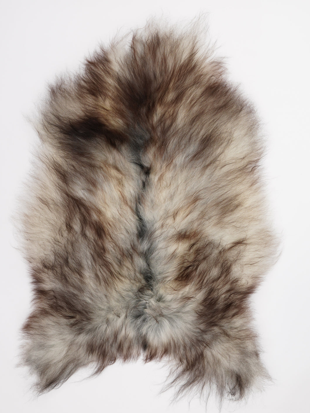 Pilkas islandiškas avikailis L