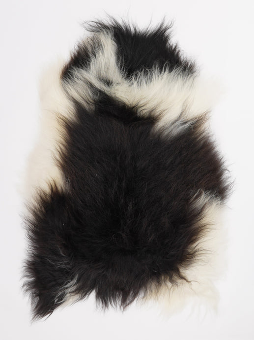 Islandiškas avikailis M