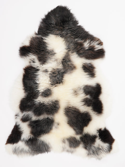 Įvairiaspalvis avikailis L