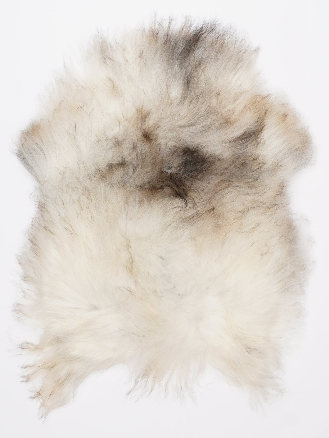 Islandiškas avikailis S