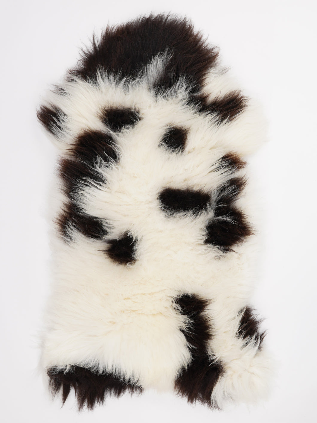 Įvairiaspalvis avikailis XL