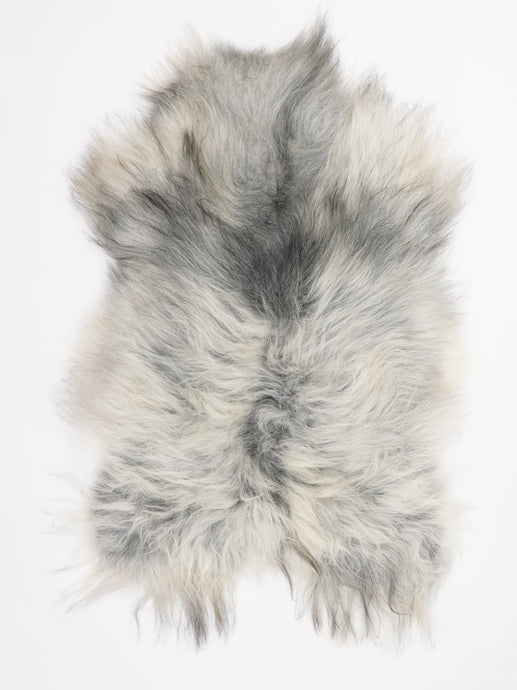 Islandiškas avikailis XL