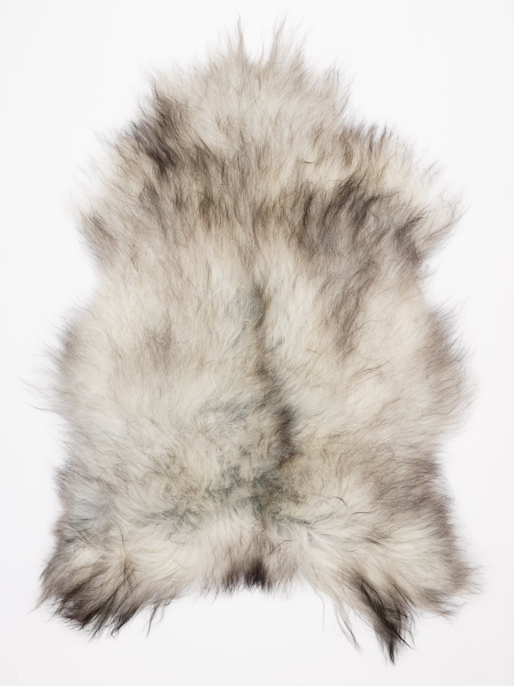 Pilkas islandiškas avikailis XL