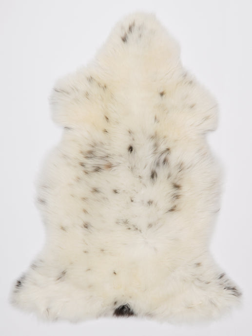 Įvairiaspalvis avikailis L