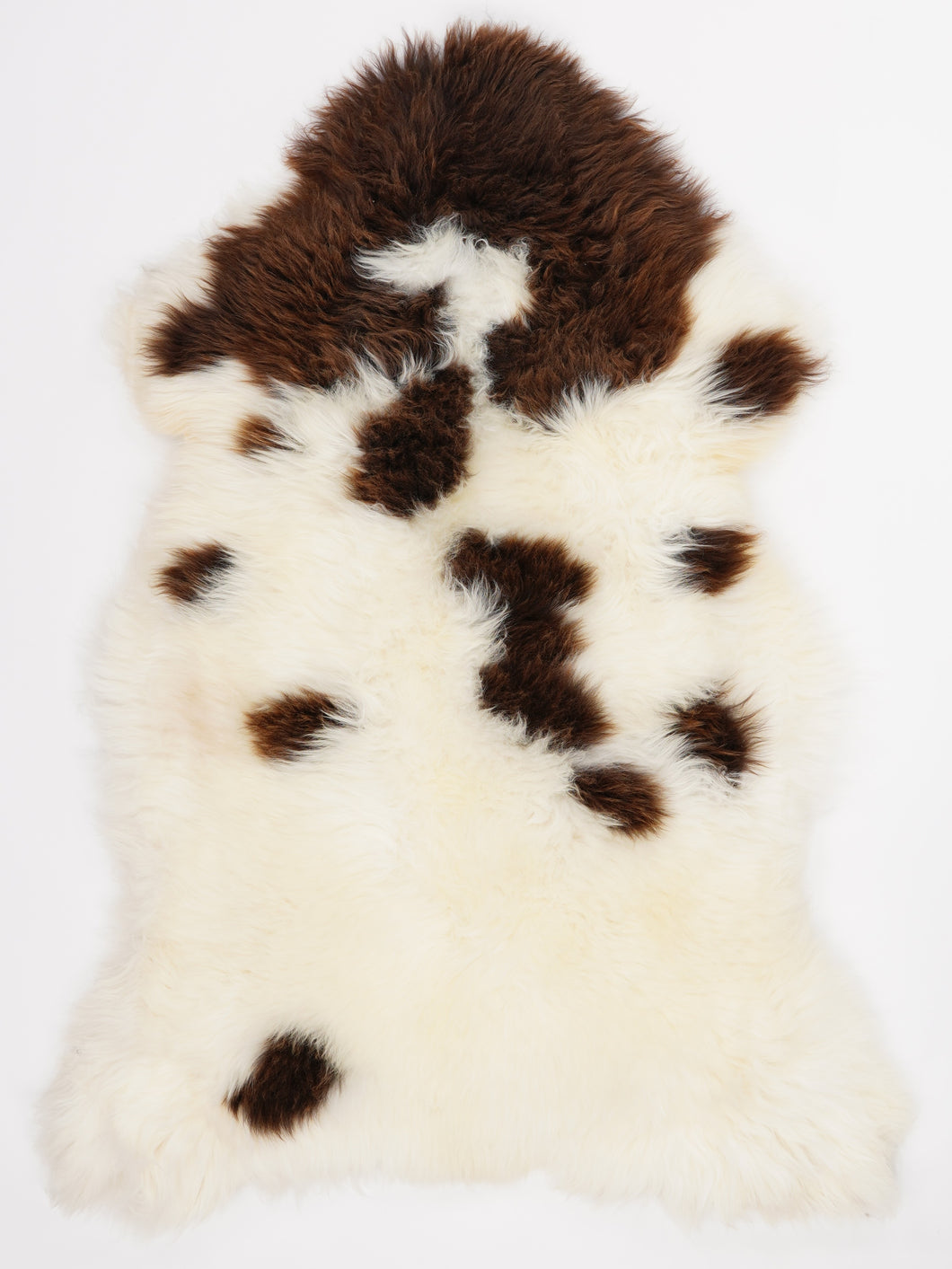 Įvairiaspalvis avikailis XL