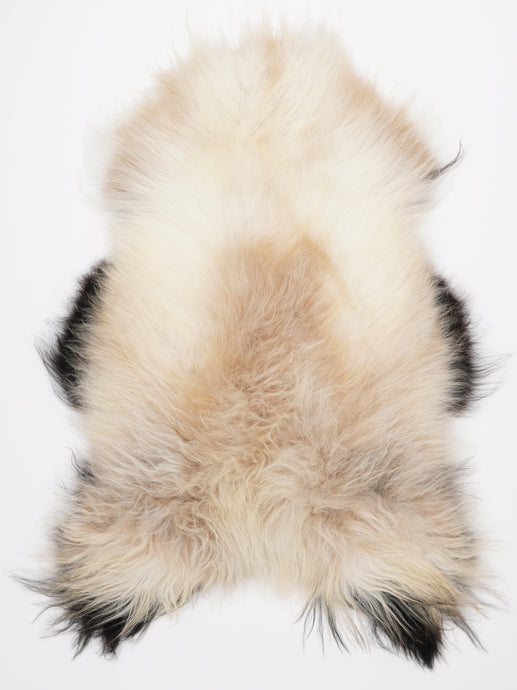 Islandiškas avikailis XL