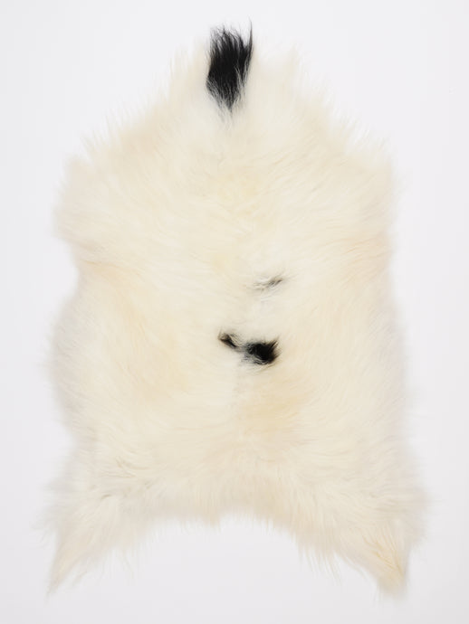 Islandiškas avikailis XL