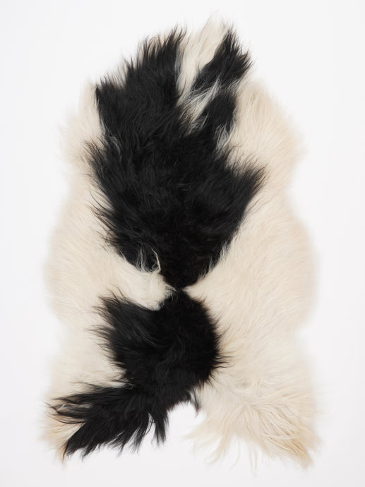 Islandiškas avikailis XL