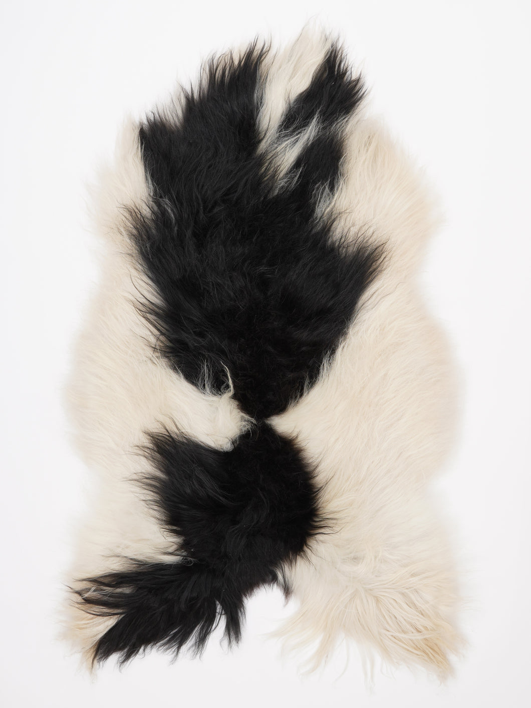 Islandiškas avikailis XL