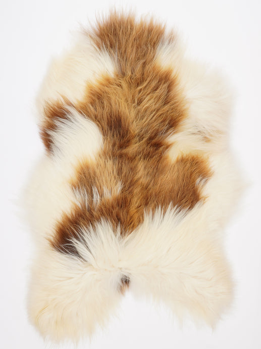 Islandiškas avikailis XL