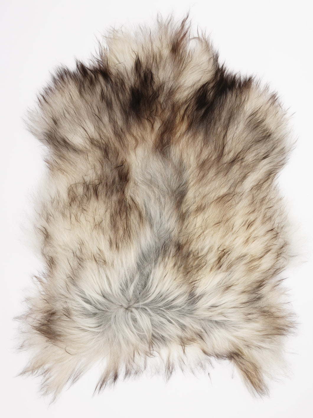 Pilkas islandiškas avikailis XL