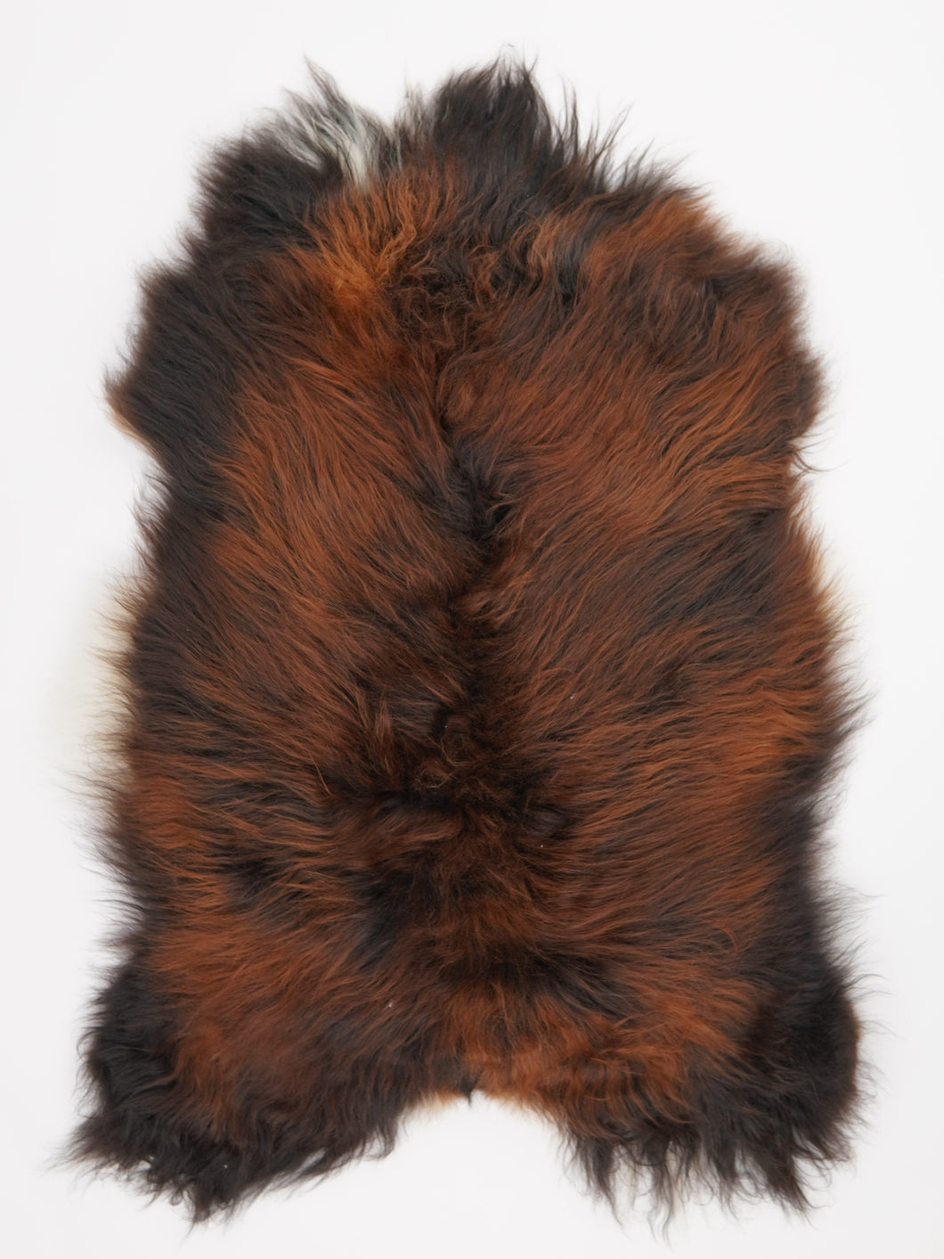 Islandská ovčí kůže 