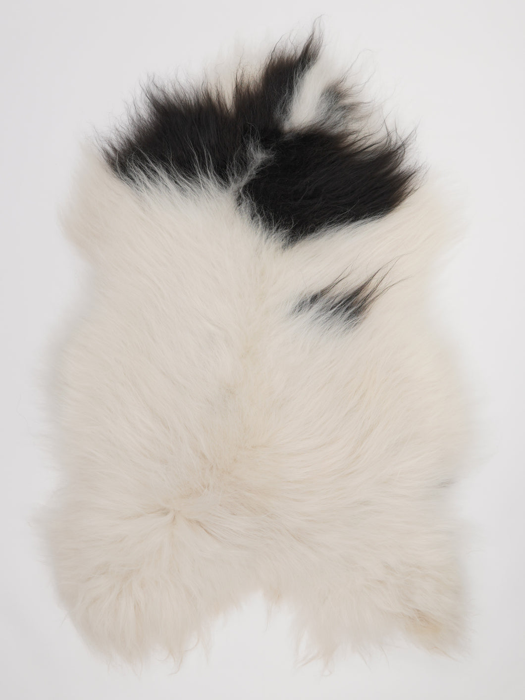 Islandská ovčí kůže XL