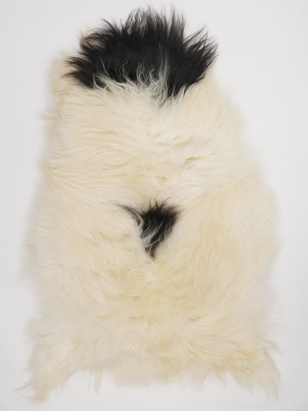 Islandská ovčí kůže XL