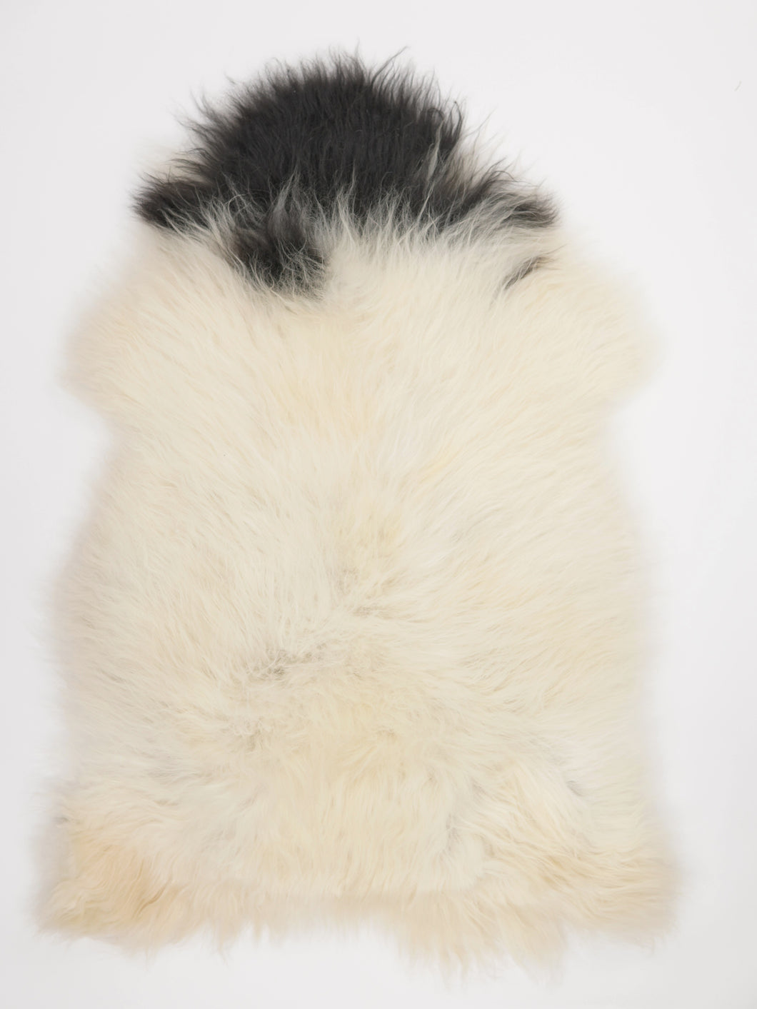 Islandská ovčí kůže XXL