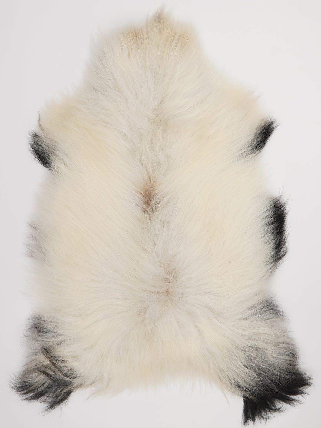 Islandská ovčí kůže XL