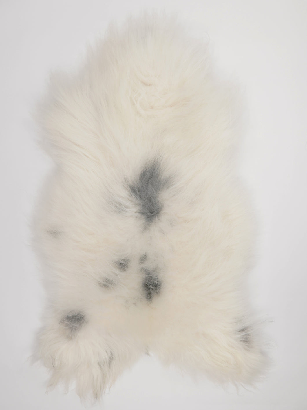 Islandská ovčí kůže XXL