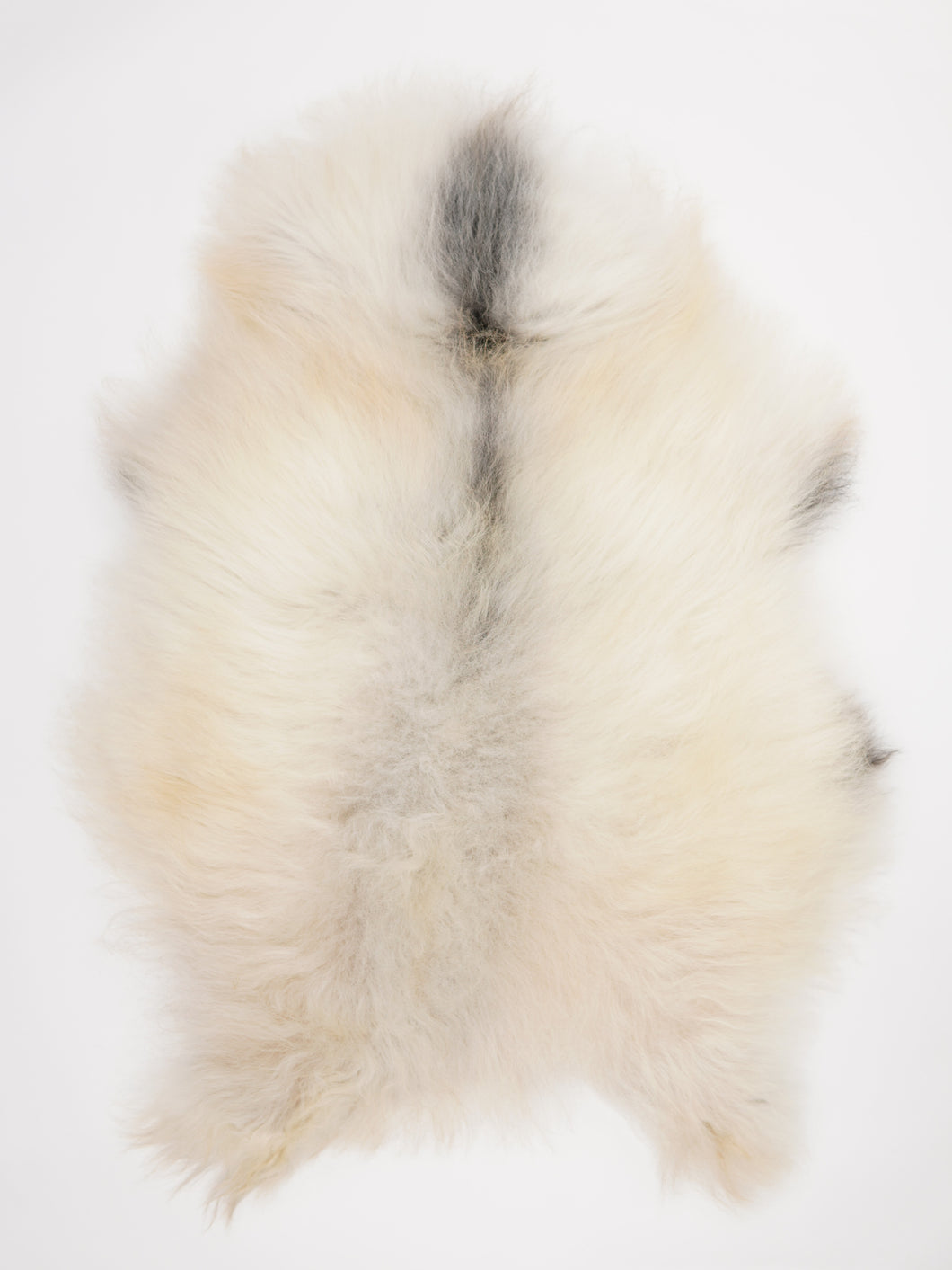 Islandská ovčí kůže XXL