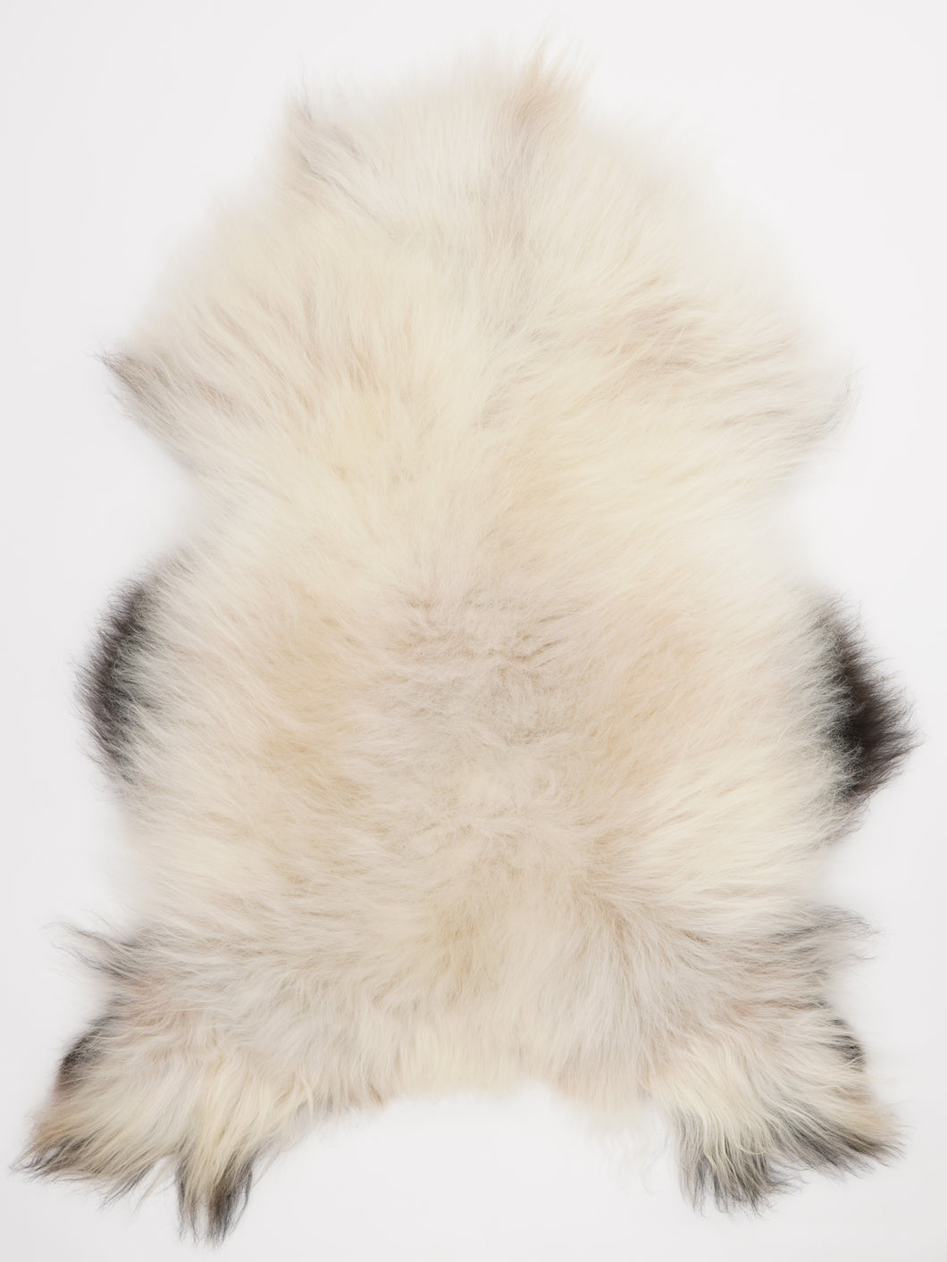 Islandská ovčí kůže XL