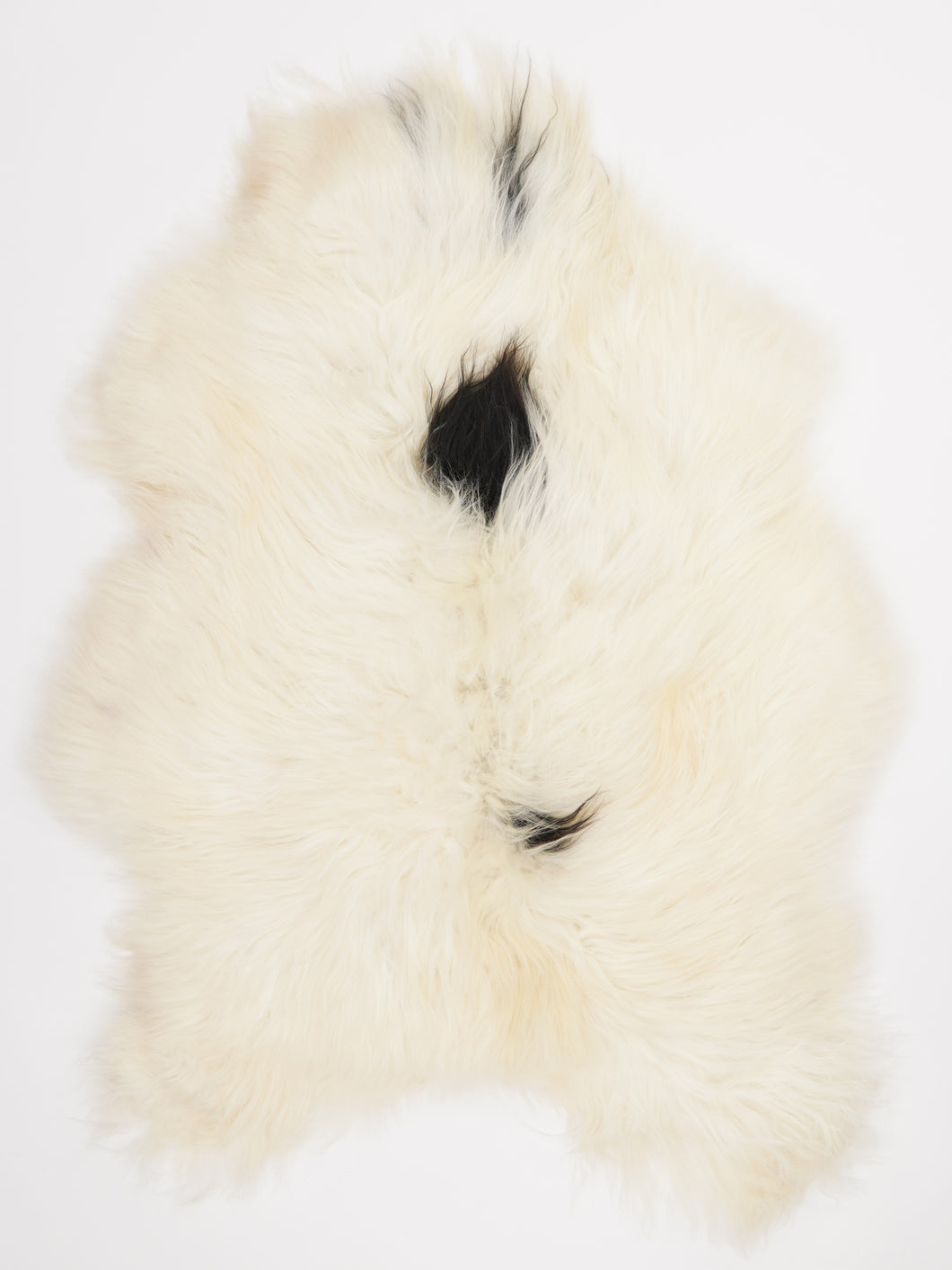 Islandská ovčí kůže XL