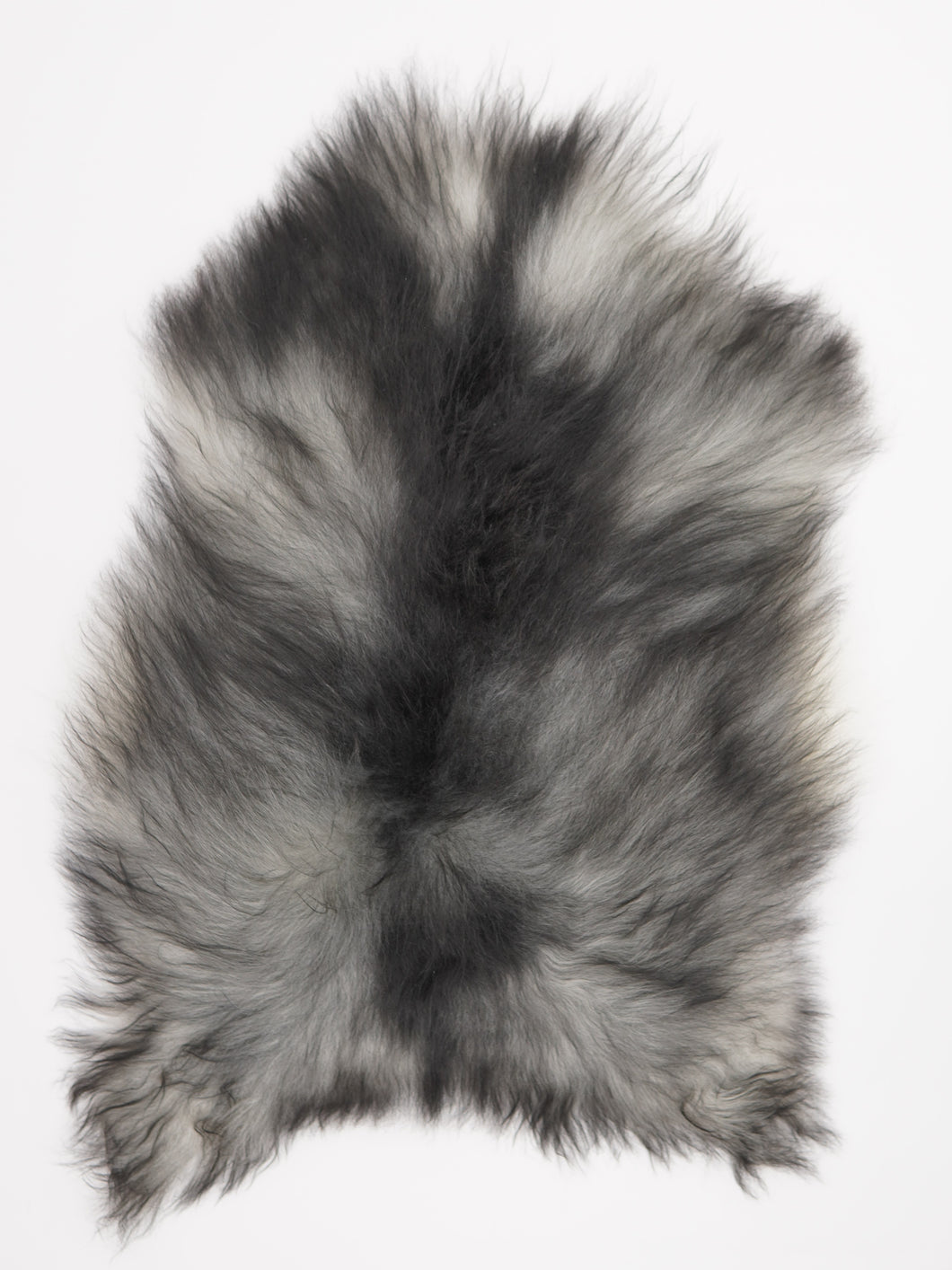 Pilkas islandiškas avikailis L