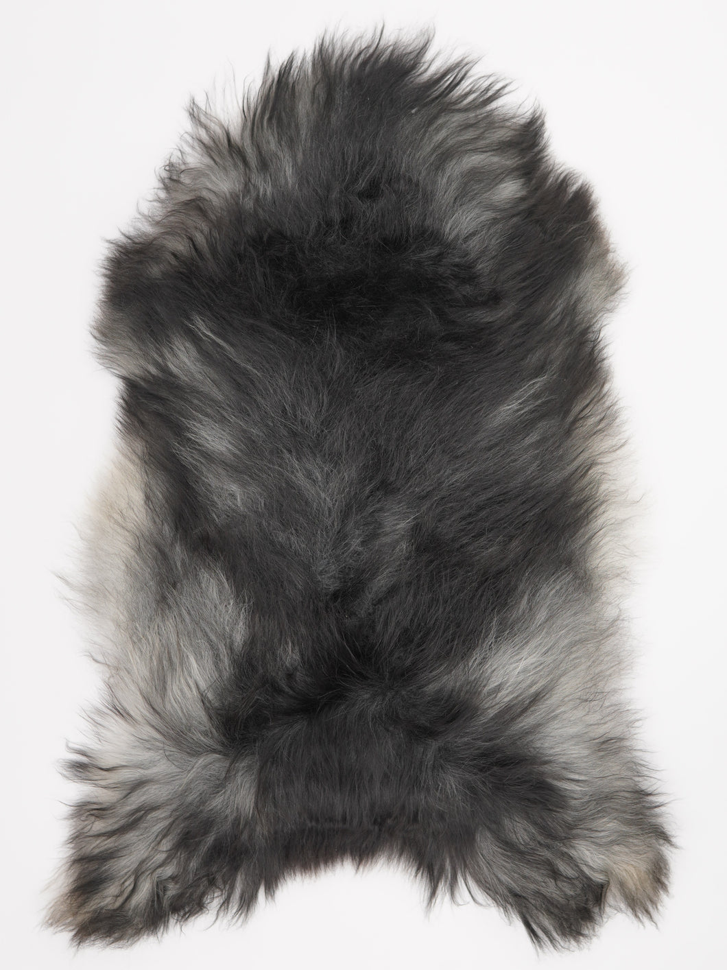 Pilkas islandiškas avikailis XL