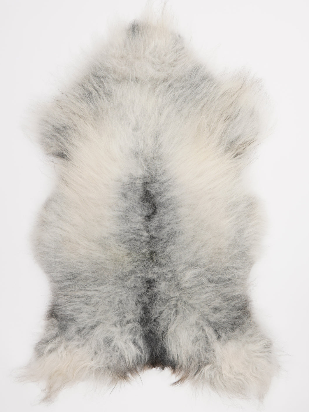 Pilkas islandiškas avikailis XL