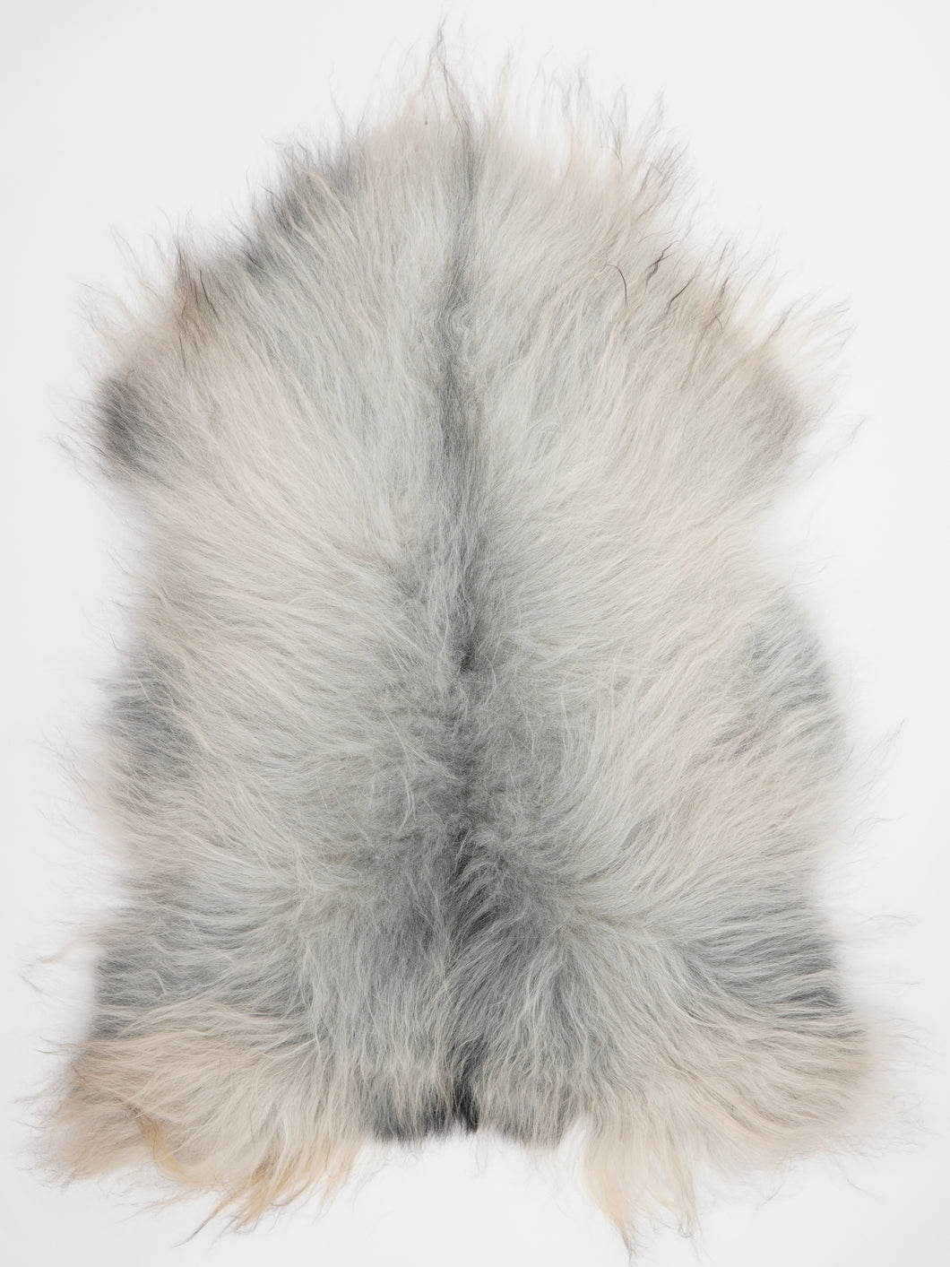 Pilkas islandiškas avikailis XL