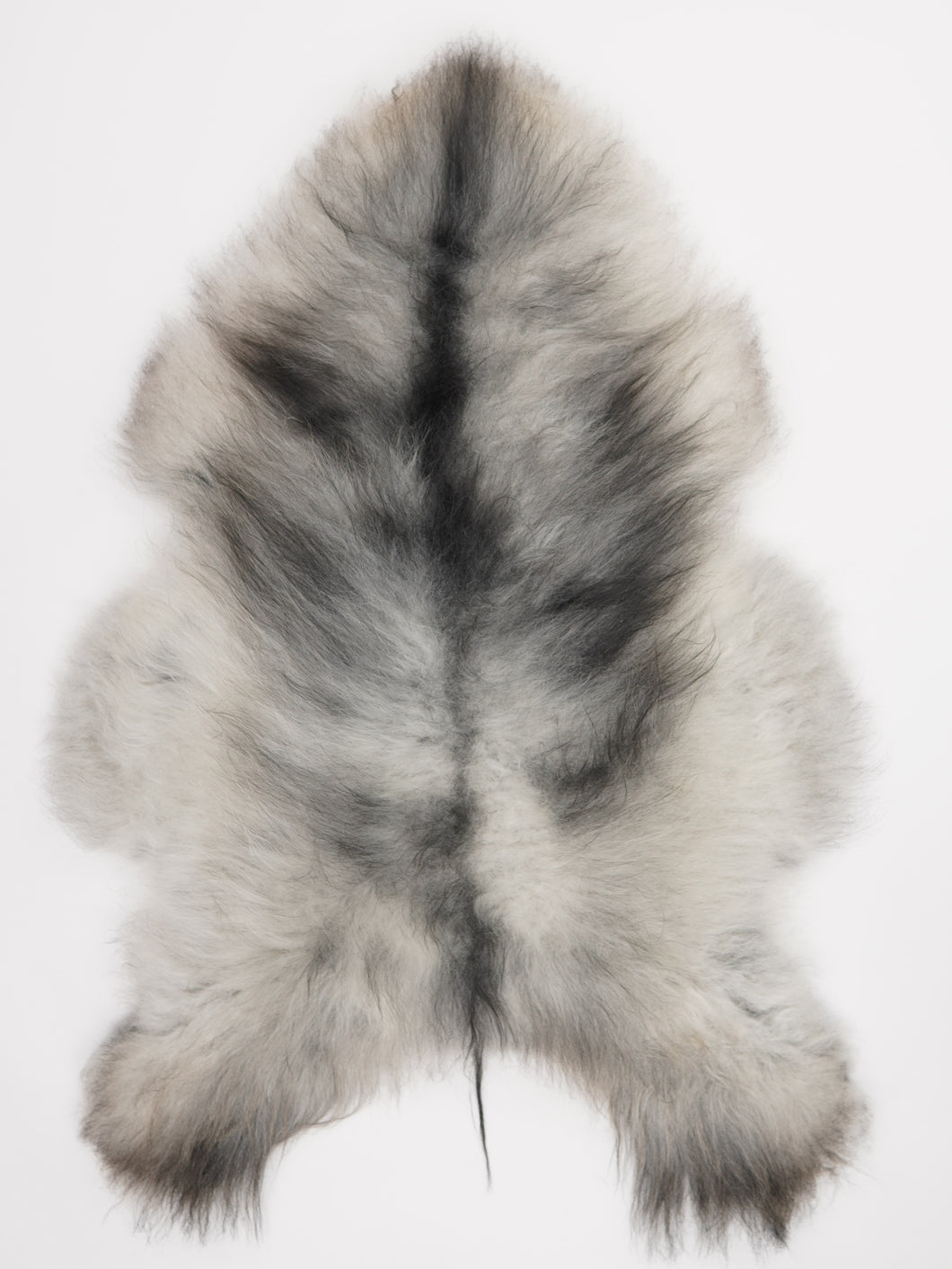 Pilkas islandiškas avikailis XL