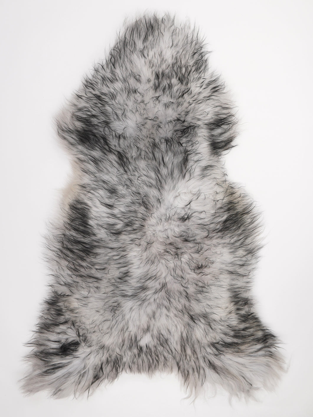 Ovčí kůže mouflona XXL