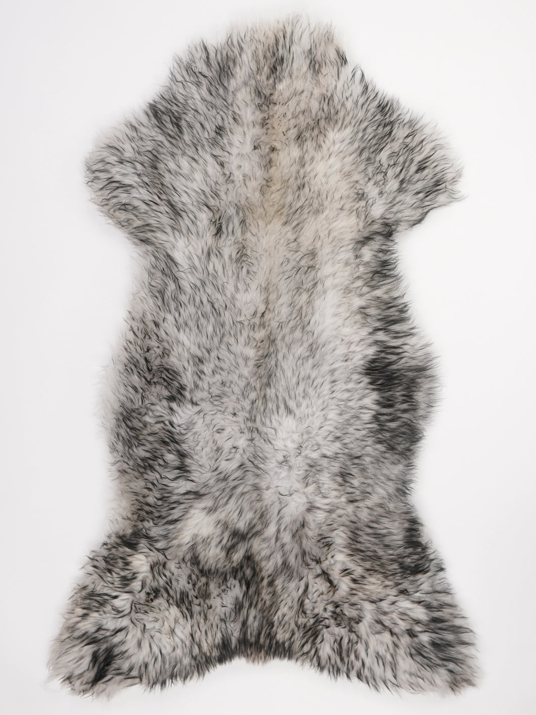 Muflono avikailis XL