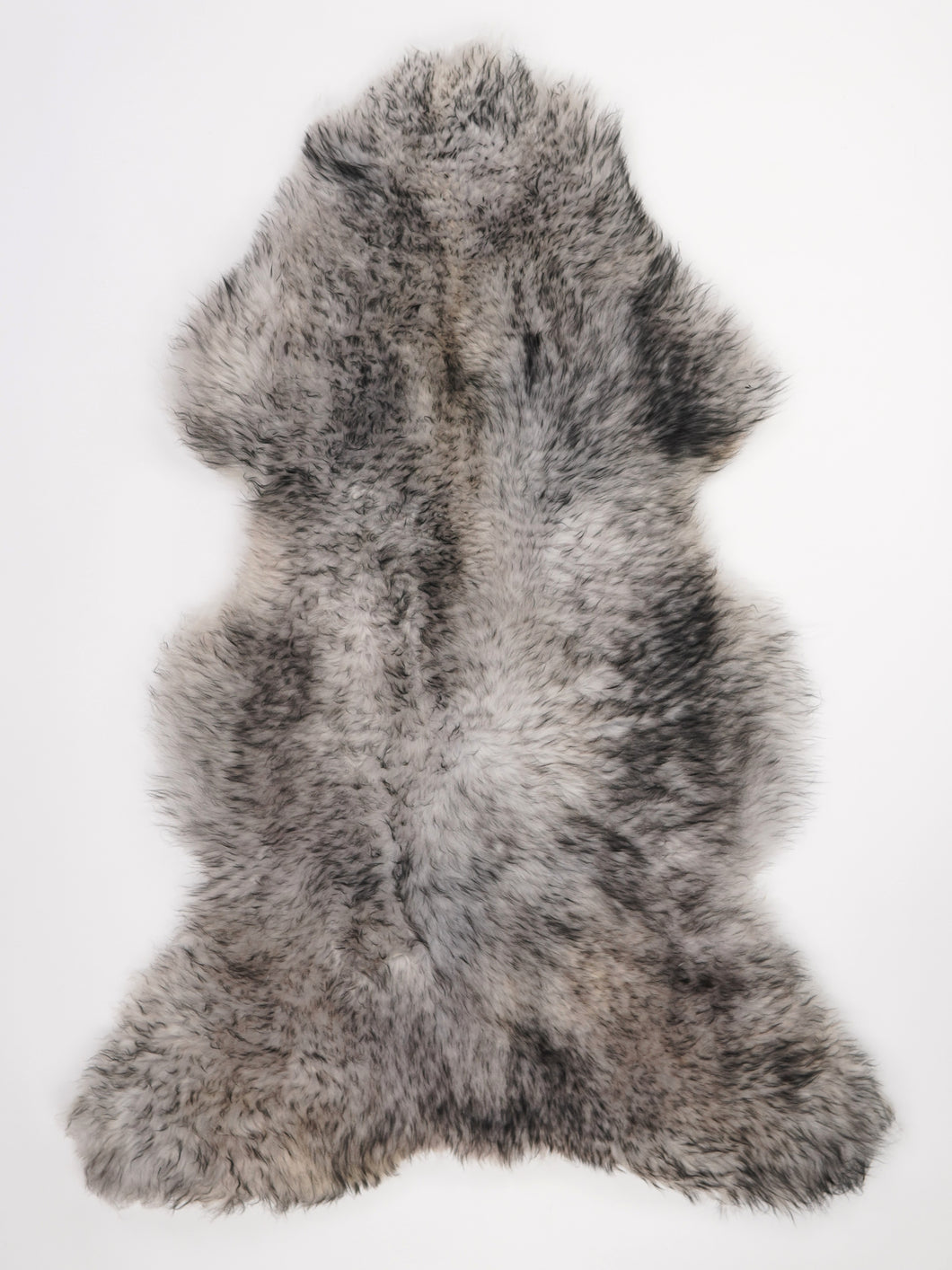 Muflono avikailis XL