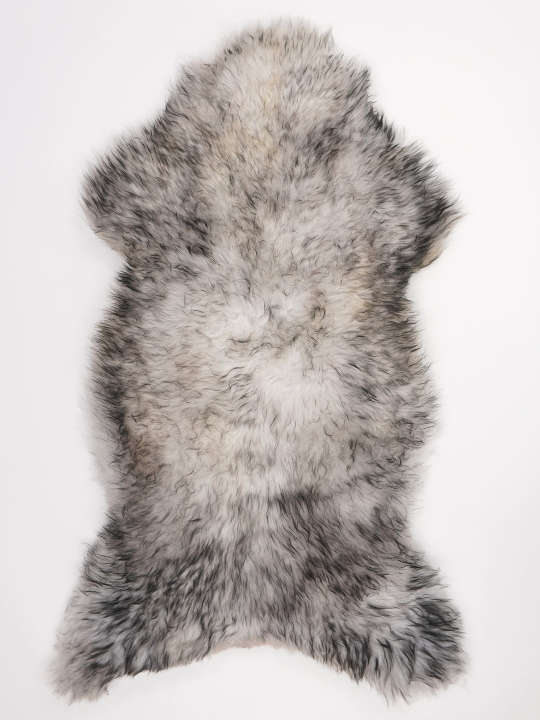 Muflono avikailis XL