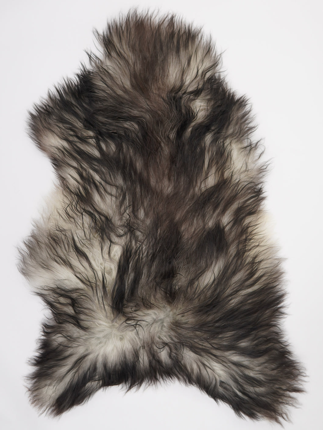 Pilkas islandiškas avikailis XXL