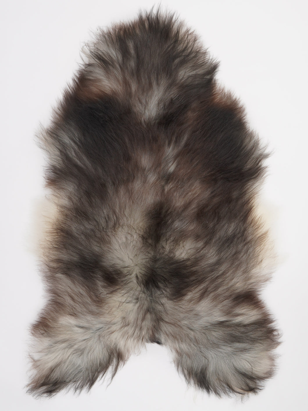 Pilkas islandiškas avikailis XL