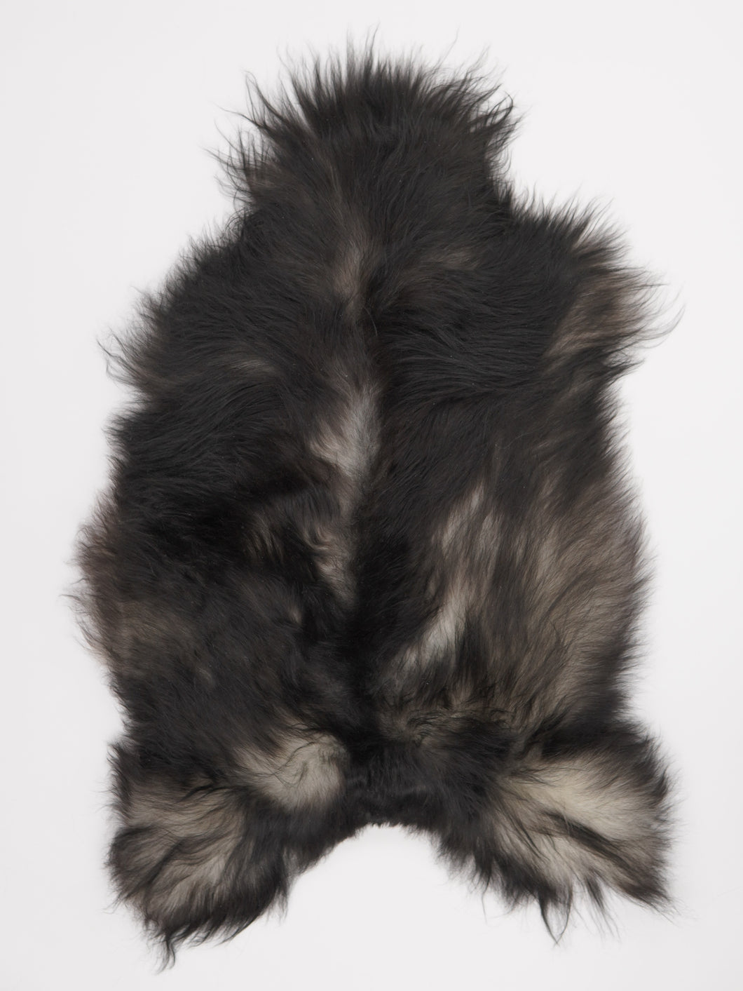 Pilkas islandiškas avikailis L