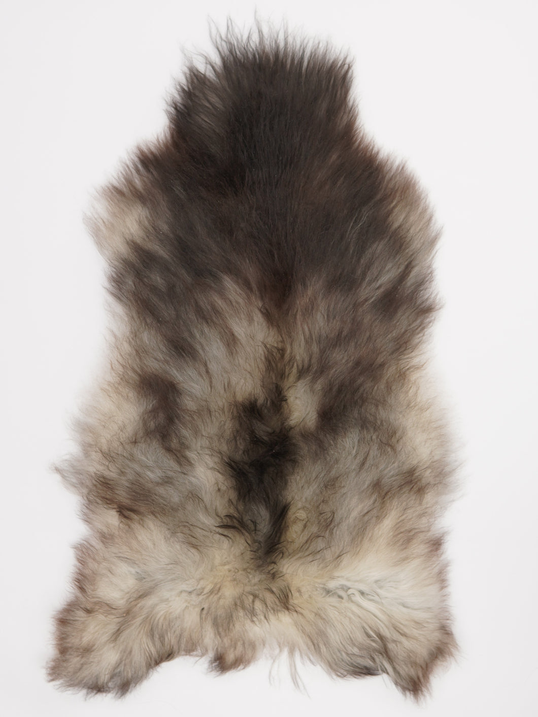 Pilkas islandiškas avikailis L