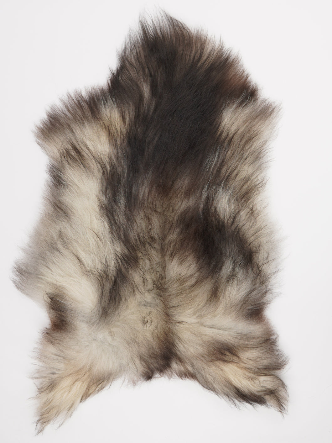 Pilkas islandiškas avikailis L