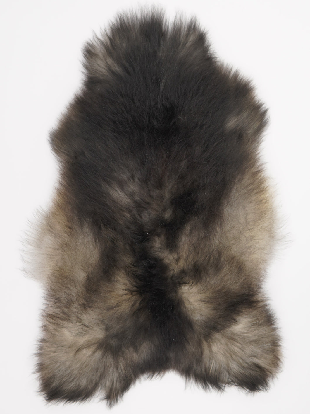 Pilkas islandiškas avikailis XL