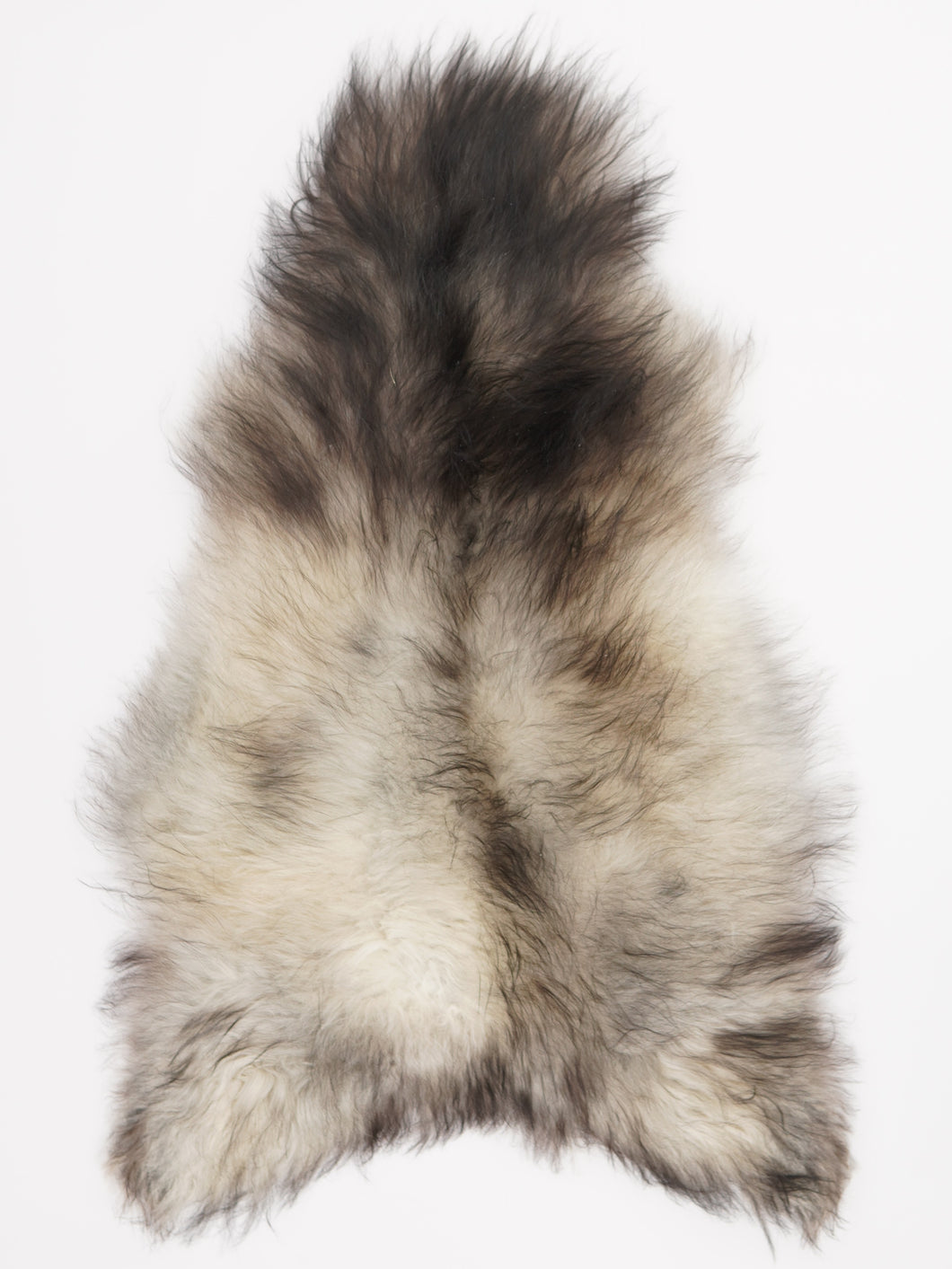 Pilkas islandiškas avikailis L