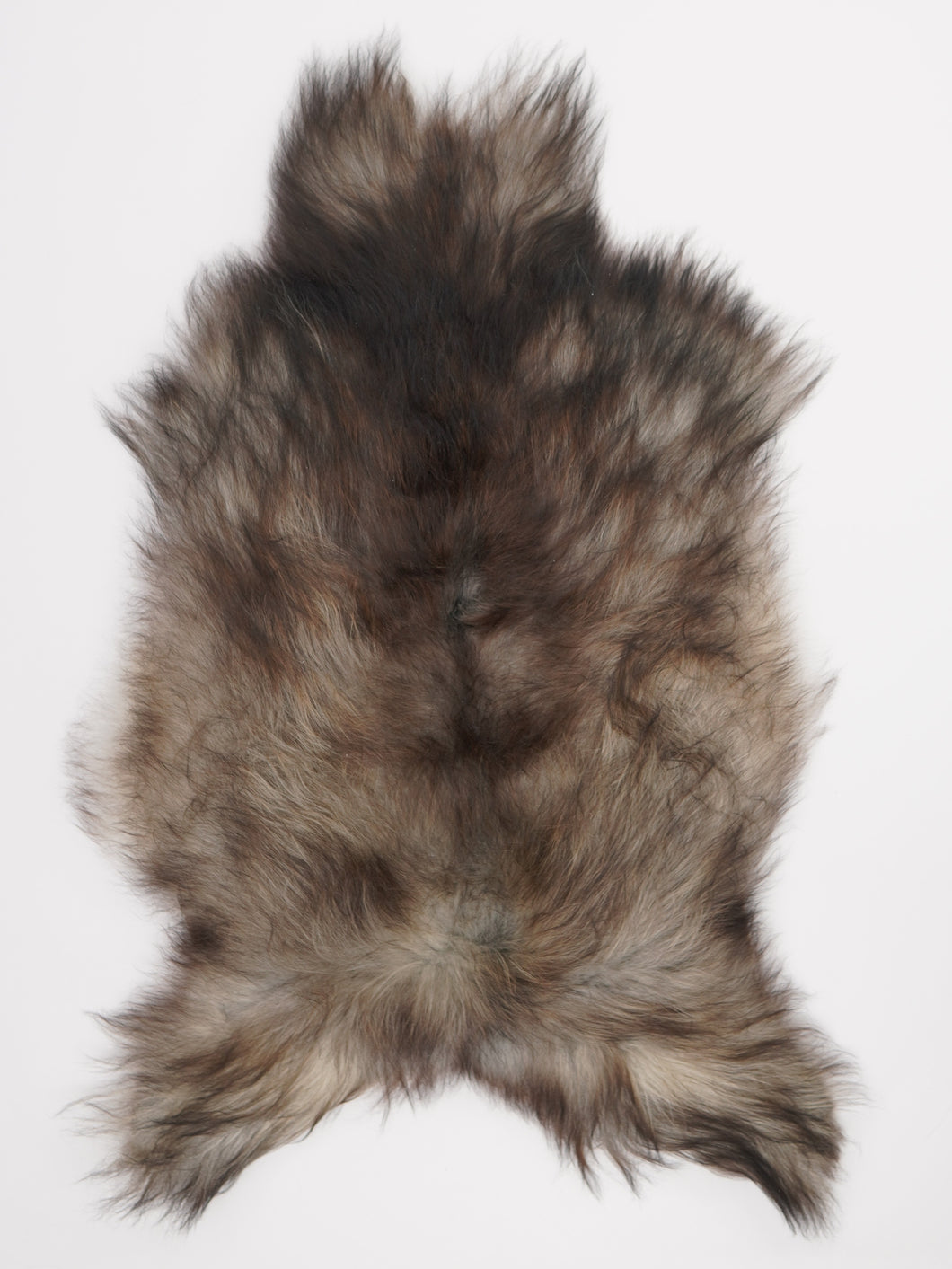 Pilkas islandiškas avikailis XL