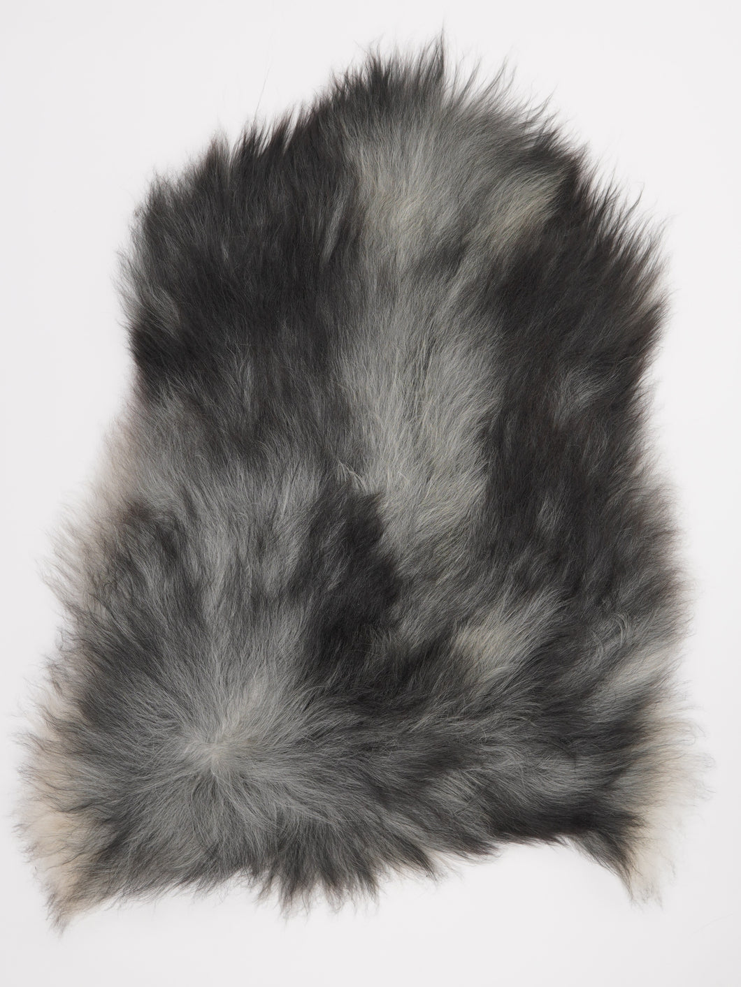 Pilkas islandiškas avikailis L