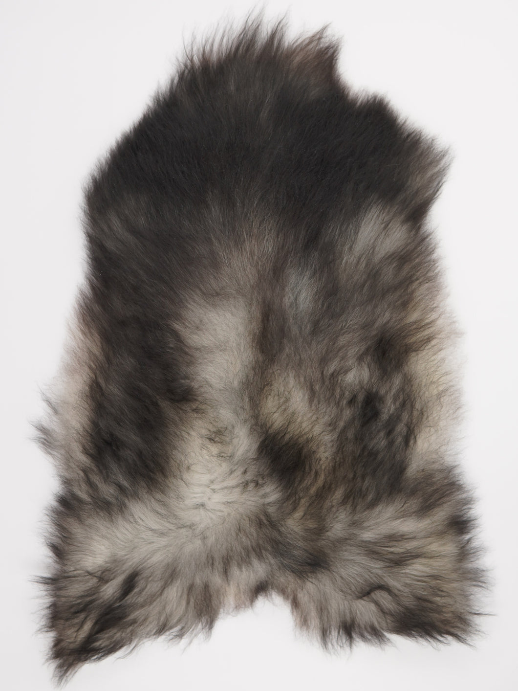 Pilkas islandiškas avikailis XL