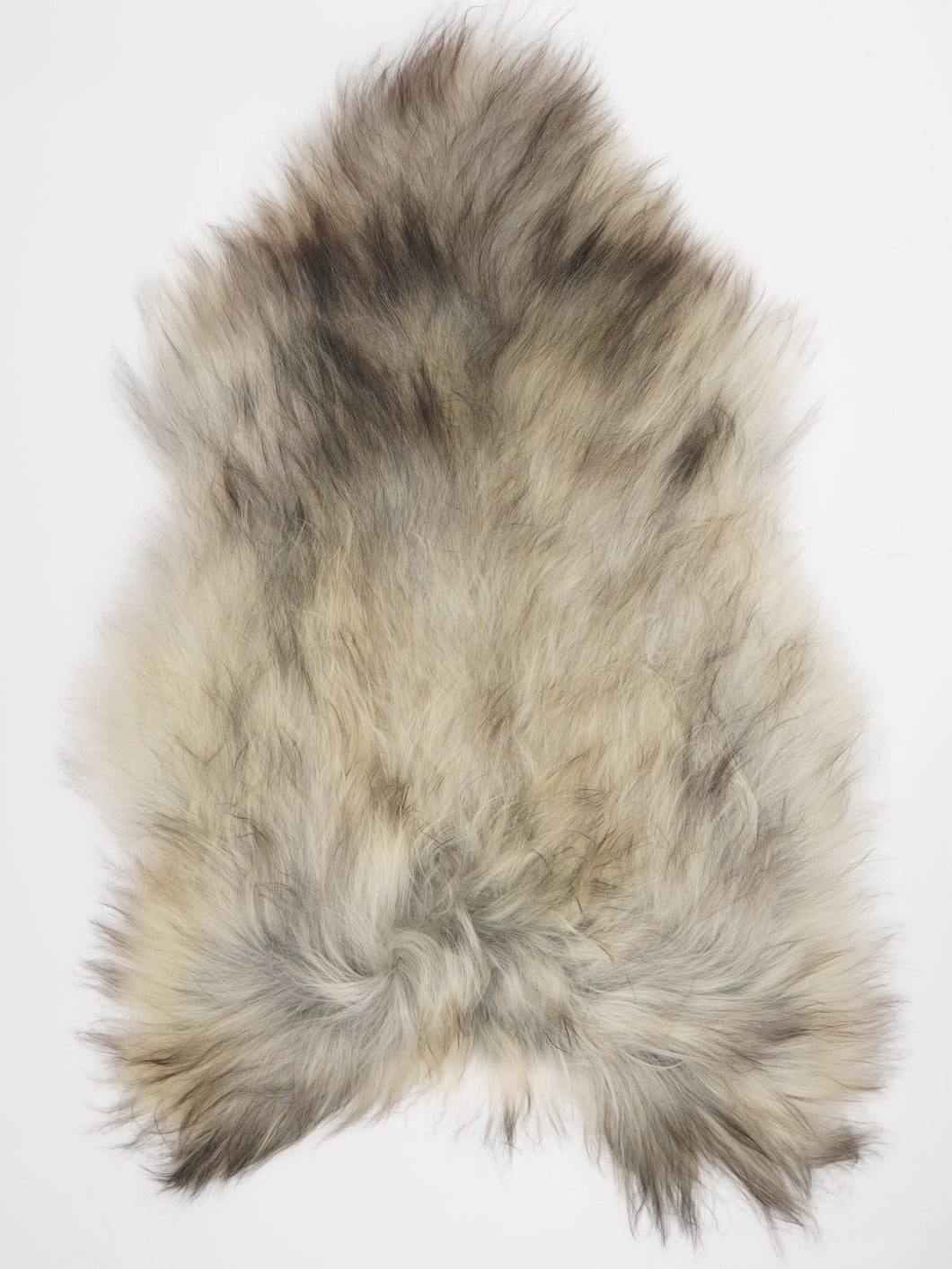 Pilkas islandiškas avikailis XXL