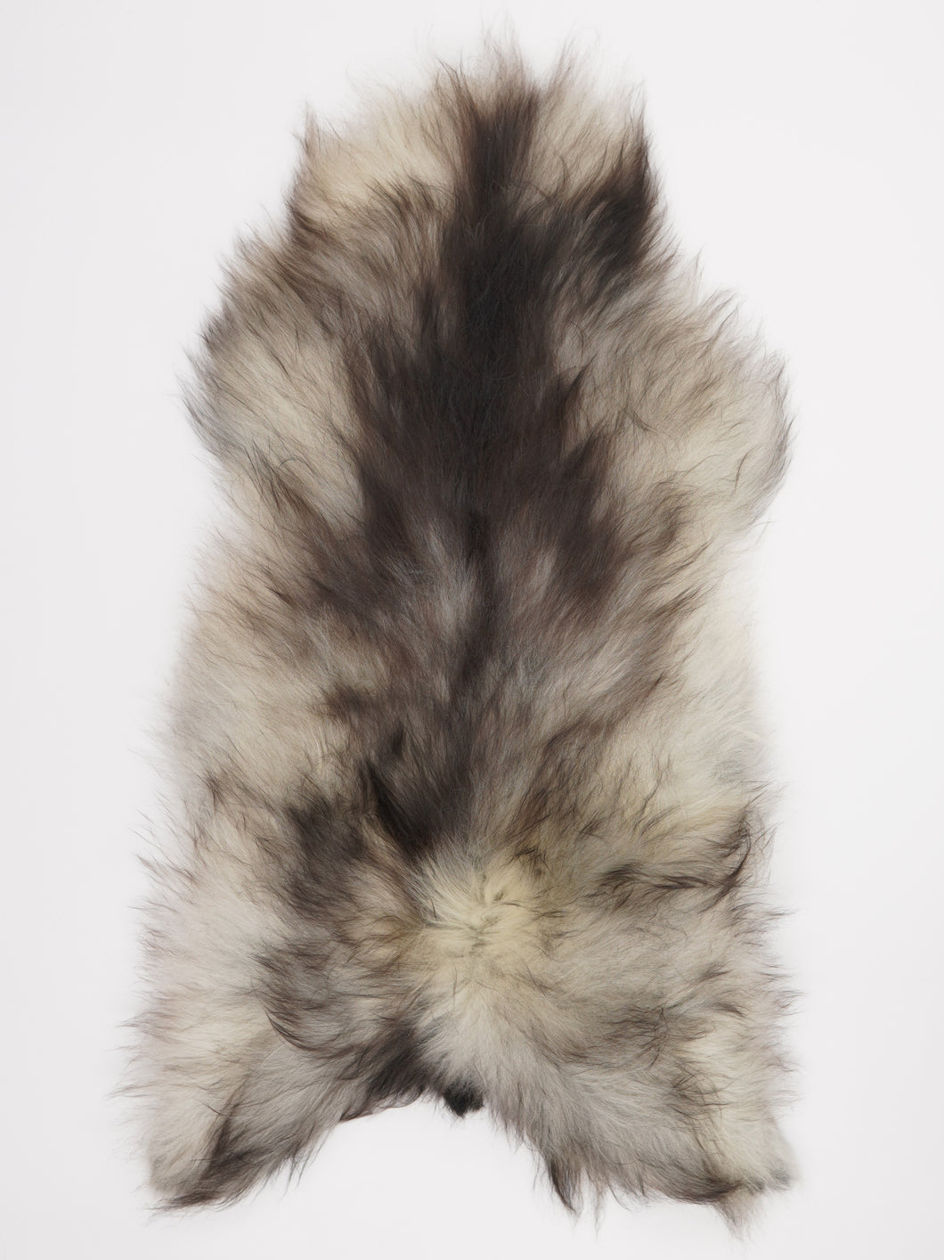 Pilkas islandiškas avikailis XL