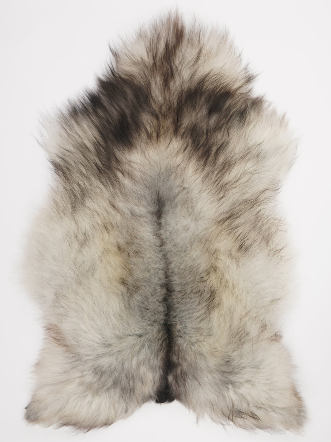 Pilkas islandiškas avikailis XL